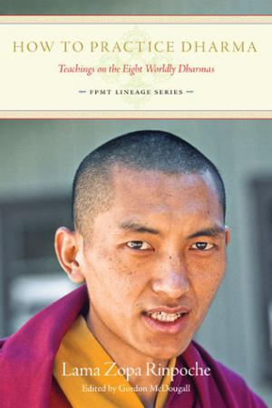 How to practice Dharma: Teachings on the Eight Wordly Dharmas